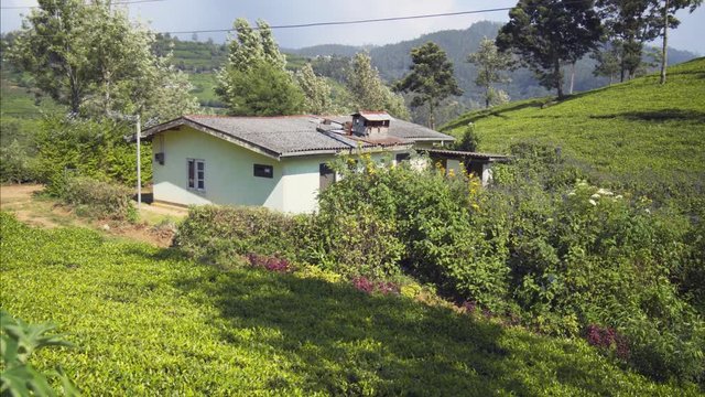 Little Farm House amongst Tea Fields on Sri Lankan Plantation
