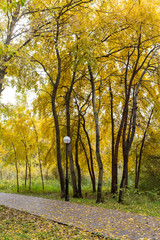 Obraz premium Walking through the autumn city