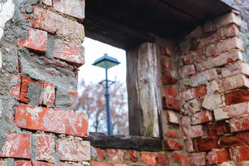 in the old brick wall of trees and light
