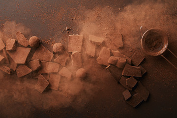 top view of arrangement of various types of chocolate, truffles and sieve with cocoa powder