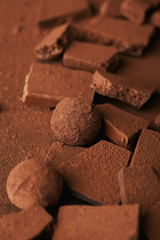 close up view of truffles and chocolate bars in cocoa powder