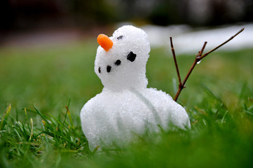Schneemann-Winzling trotzt dem Tauwetter