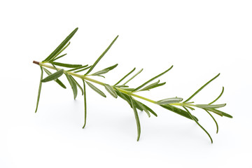Naklejka premium Rosemary isolated on white background, Top view.