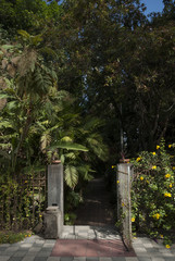 The old carved wooden door leads to the old house in Guatemala