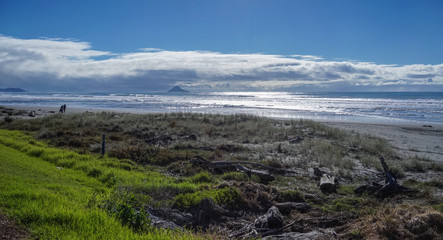 Fototapeta na wymiar Seascape of North Island, New Zealand
