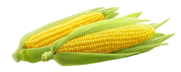 Fotobehang Corncobs or corn ears isolated on white background © kovaleva_ka