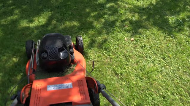 Barefoot worker man guy cut trim meadow grass with lawn mower. 4K