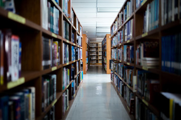 Books on Bookshelves in public libery.