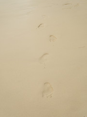 Fototapeta na wymiar Footprints on the desrt beach of background