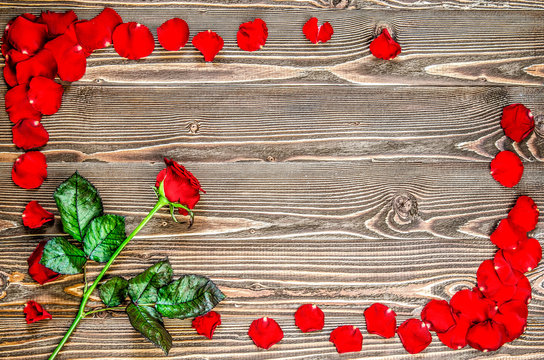 Red rose and red rose petals in the form of a frame on a wooden surface.
