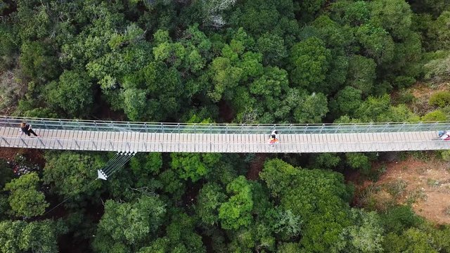 Suspension bridge surrounded by lush green forest - Aerial view