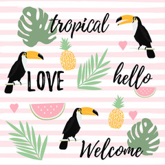  Pineapple, watermelon and toucan with stripes seamless pattern background. Tropical poster design. Summer and holidays background. Wallpaper, invitation card, textile print vector illustration design © blossomstar