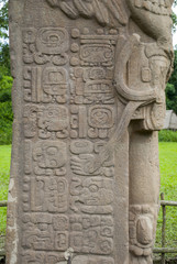 Quirigua Mayan archaeological Site on Guatemala. 400 D.C. It is located in the municipality of Los Amates, in the Department of Izabal.