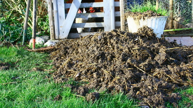 tas de fumier devant poulailler,et r&acirc;teau