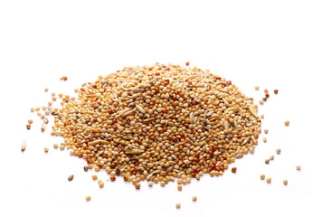 pile mixed bird seed isolated on white background, millet, oats and linseed