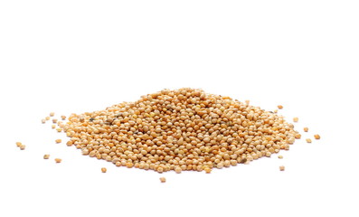 pile millet isolated on white background