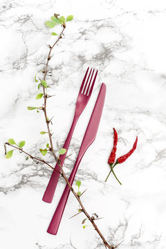 Fork, knife and dry plants on a marble table..