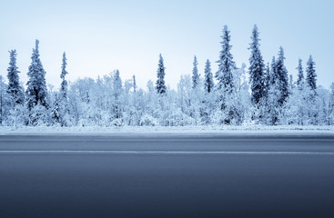 Obraz premium droga w zimowym lesie