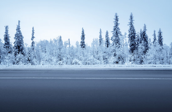 Fototapeta road in winter forest