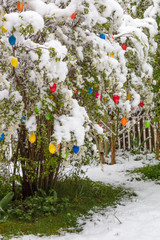 Kälteeinbruch an Ostern - schneebedeckter Strauch mit bunten Eiern