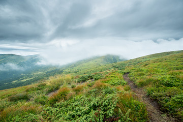 Landscape with green mountains in the clouds