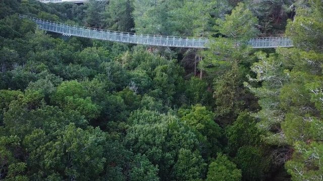 Suspension bridge surrounded by lush green forest - Top down aerial view