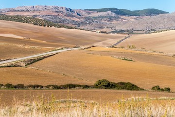 Berglandschaft in Andalusien