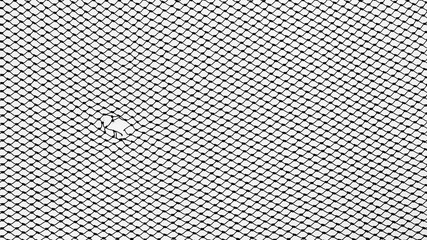 silhouette of hole fishing net isolated on white background - obrazy, fototapety, plakaty
