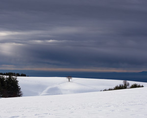 Winterausblick vom Schauinsland