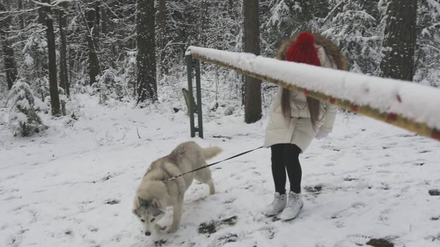 smiling pretty brunette following her husky dog in winter, keeping it on a leash, turning around