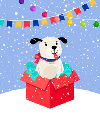 Cute snow puppy in gift box