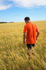 A young man in an orange T-shirt is walking along the field, where wheat grain ears grow