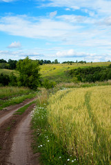 Beautiful rural landscape, country road goes to the distance