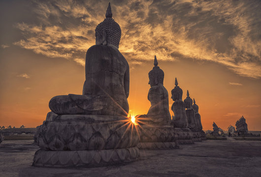 The field of big Buddha image in evening light.
