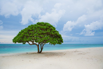 Beautiful cloudy stormy landscape