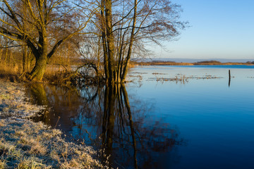 Biebrza w porannym słońcu
