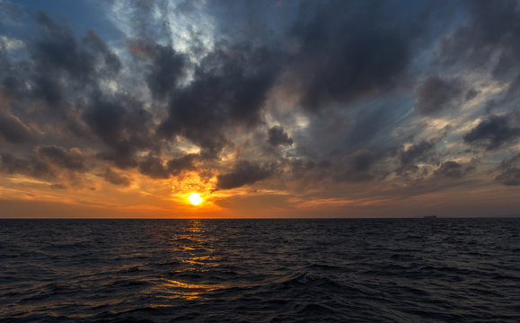 Sunset over sea. Seagulls over the sea at sunset.