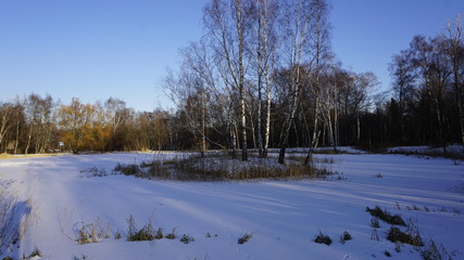 Winter season in Russia Moscow