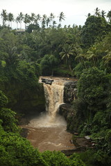 Bali waterfall