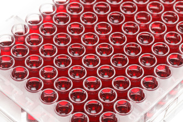 Pcr well plate with biological samples