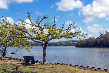 Lagoon at Umlalazi Nature Reserve at Mtunzini South Africa