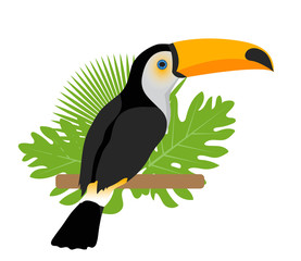 Toco toucan icon is a flat, cartoon style. Exotic bird sitting on a branch in the tropics. Isolated on white background. Vector illustration
