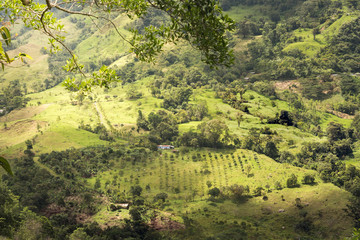 landscape of farm in colombia.