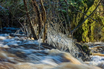 Icicles hanging from frozen twigs with river water rushing by. The river Braknean in southern Sweden.