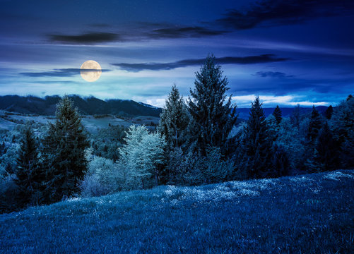 lovely countryside with grassy hills at night in full moon light. beautiful nature of Carpathian mountains in springtime