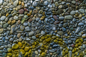 Painted pebbles