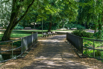 Bridge in the park