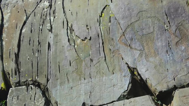 ancient petroglyphs found on the site Kalbak-Tash in the Altai Mountains