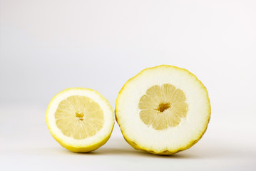 two different half lemons cut in section