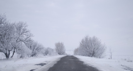 Fototapeta premium beautiful winter landscape, snow-covered country road, trees in the snow, the tunnel of trees.